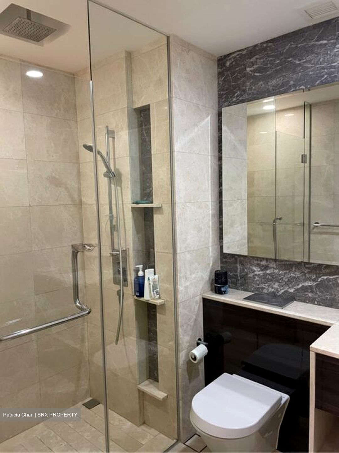 Commonwealth Towers (D3), Condominium #502920131